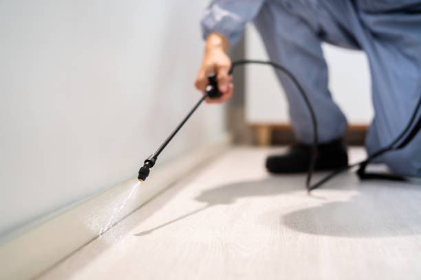 Licensed Cockroach Control service in Bradley, IL - Nex Pest Control