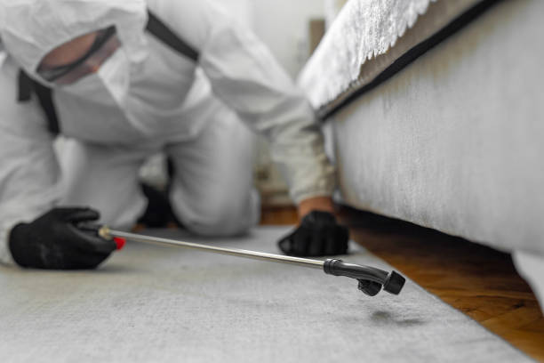 Professional Cockroach Control technician working in Bradley, IL